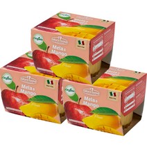 네츄럴누바 유기농 생과일 퓨레 100g, 망고, 6개