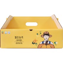 젊은농부 호박즙, 30개, 100ml