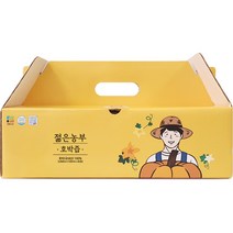 [호박즙60개개미] 젊은농부 호박즙, 100ml, 30개