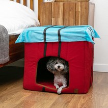 딩동펫 반려동물 보급상자 하우스, 혼합 색상