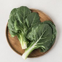 국내산 근대, 300g, 1봉