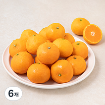 다조은 강서시장 새벽경매 하우스 감귤, 800g, 6개