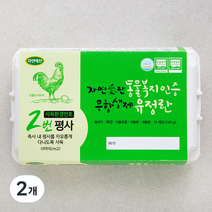 자연애찬 동물복지 무항생제 유정란 15구, 2개