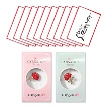 투영 카네이션 사랑 브로치 2종 + 메시지 캘리 카드 10p 세트, 브로치(혼합색상), 카드(언제나사랑), 1세트