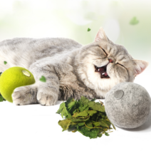 힐링타임 마따따비 양모볼 (2P/색상랜덤) NH-0227, 랜덤발송, 2개