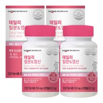 일동생활건강 데일리 철분 & 엽산 영양제, 90정, 2개