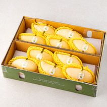 로얄타이 태국망고 10~12입, 4.7kg, 1개