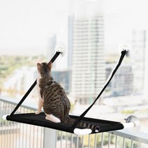 딩동펫 고양이 윈도우 메쉬해먹 1단, 혼합 색상