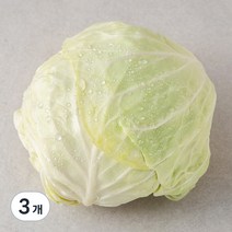 곰곰 국내산 양배추, 1개입, 3개