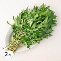 당귀잎, 100g, 2개