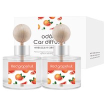 오도르 카 디퓨저 120ml, 레드자몽, 2개