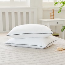 더자리 나노케어 안티브릭 다운필 베개솜 2p, 화이트