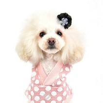 핑카홀릭 브리짓 반려동물 헤어핀 FREE, 블랙, 1개