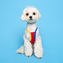 플로트 콤비 강아지 나시, 레드