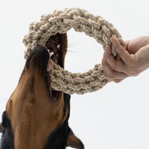 럭키페터 대형견 터그놀이 링 로프 장난감 19cm, 베이지