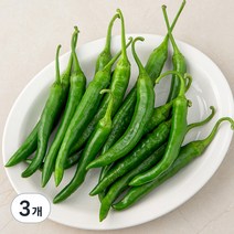 곰곰 국내산 청양고추, 300g, 3개