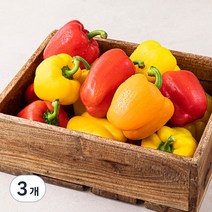 곰곰 국내산 못난이 파프리카, 2kg, 3개