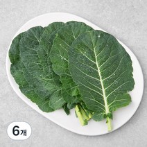 GAP 한끼 케일, 80g, 6개