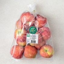 하이프루츠 저탄소인증 의성 꼬마 사과, 2kg(10~13입), 1봉