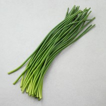 마늘쫑(중국산), 400g, 1개