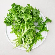 친환경 치커리, 150g, 1봉