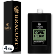 브라코스트 셀프 다운펌 건강모 + 시술도구 풀세트, 500ml, 4세트
