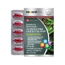 내츄럴플러스 바나바 영양제 87g, 60정, 4개