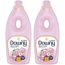 다우니 섬유유연제 생화향기 스프링 가든 러브, 1L, 2개