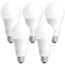 번개표 LED 전구 12W, 주광색, 5개