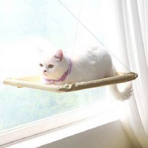 SUNNY SEAT 윈도우 고양이, 혼합색상