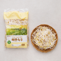 곰곰 뿌리를 다듬어 간편한 하얀숙주 500g
