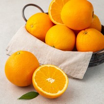 맛있는고당도오렌지 특가정보