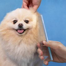 바비온 엔트리레벨 알루미늄 듀얼콤 브러쉬 BCE3363, 블루, 1개