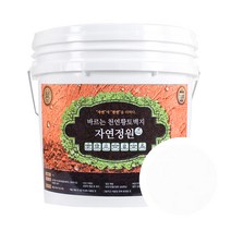 바른황토 바르는 천연황토벽지 자연정원 페인트 18L, 백토, 1개