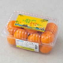 귤탐 고당도 하우스감귤, 800g(2S~M), 1팩