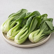 국내산 청경채, 150g, 1팩 솔직 후기 및 장단점 분석 - 구매 가이드