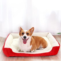 제제펫 소프트 컬러 애견방석, Y107PCNS006
