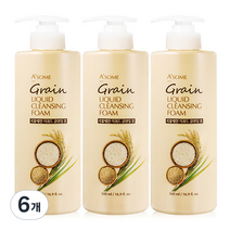 ASOME 대용량 펌핑형 곡물세안 딥클린 클렌징 폼, 6개, 500ml