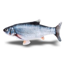 물고기자동장난감 판매 사이트