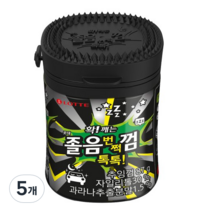 졸음번쩍껌 톡톡, 87g, 5개