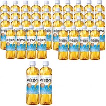 웅진 하늘보리, 500ml, 40개