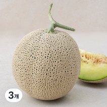 곡성 맘에쏙 멜론, 1.6kg, 3개