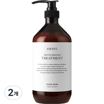 에이센트 프로틴바이옴 트리트먼트 누디머스크, 1000ml, 2개