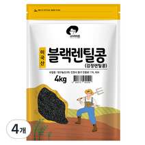 엉클탁 미국산 블랙렌틸콩 검정렌틸콩, 4개, 4kg