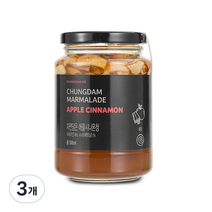 청담라이프 프리미엄 애플 시나몬청, 500ml, 3개, 3개