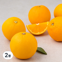 곰곰 호주산 네이블 오렌지, 1kg, 2봉