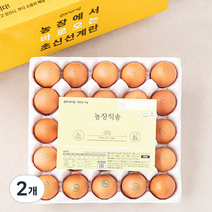 가농 오늘낳은 농장직송 1+ 등급 초란 25구, 2개
