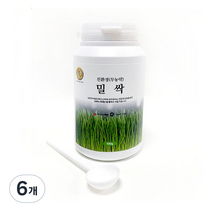수산복해 밀싹분말, 100g, 6개