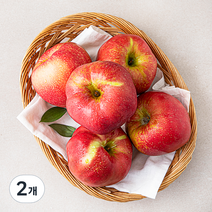 당도선별 사과, 1.5kg(대과, 5입), 2개