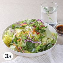 곰곰 비건인증 아삭한 프레시 채소믹스, 500g, 3개